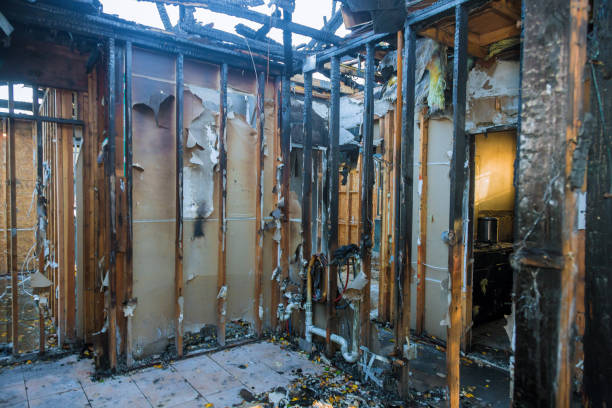 Professional Smoke Damage Removal technician working in Coppell, TX